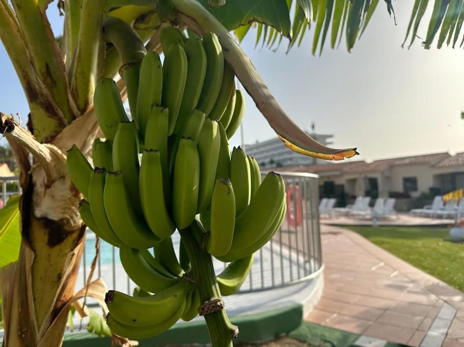 Bungalow Santa Fe Maspalomas  Zewnętrze zdjęcie